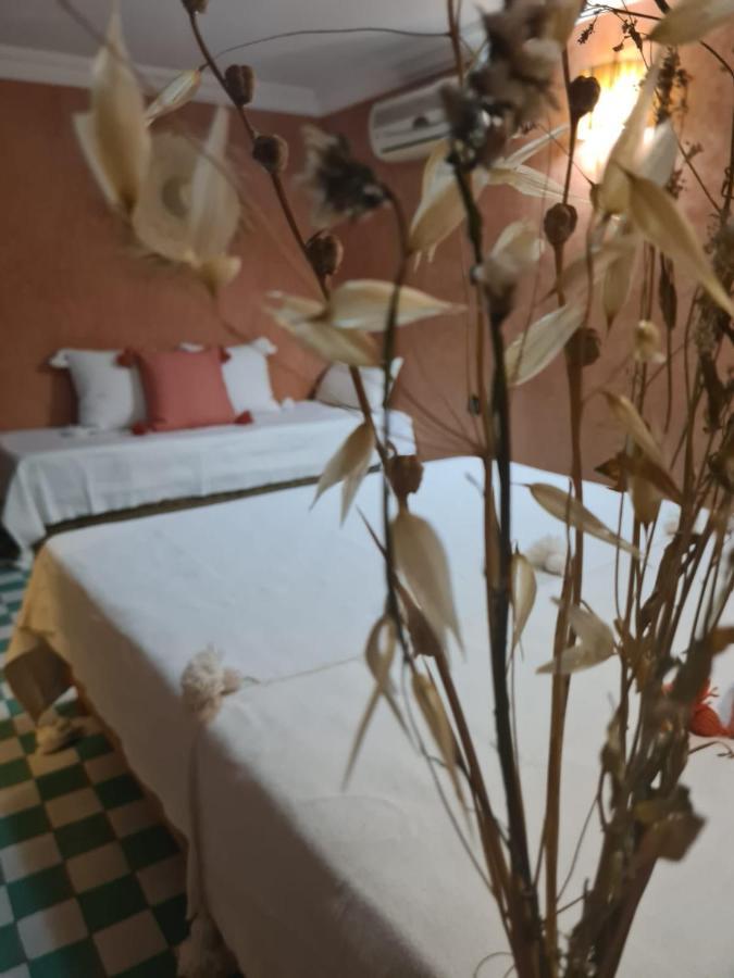 Riad Casa Sophia Марракеш Экстерьер фото